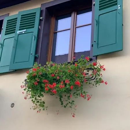 Du Clocher Dans Ancienne Maison Du Vignoble Apartment *